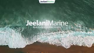 Look this Amazing Seafood Factory  | Jeelani Marine Products!