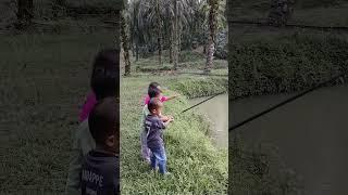 Rebutan memancing ikan #anakanak #strike #memancing #mancing #viral