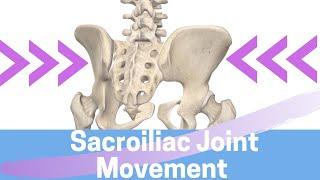 Sacroiliac Joint Movement: Nutation II Counternutation II Sacral Torsion II Iliac Torsion