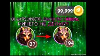 КАК ПОЛУЧАТЬ ХАЛЯВНЫЙ ОПЫТ И МОНЕТЫ В WildCraft?! ОТВЕТ ТУТ!