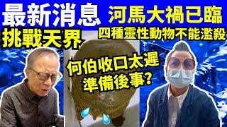 最新消息 何太何伯 這4種「靈性」動物因果報應現眼部  何太何生生活语录  #河馬 #何太何生  Smart Travel《娛樂新聞》東張西望 #舉報何太 #翁靜晶何志華    #cc字幕 #河馬代購