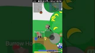 Mope.io rage