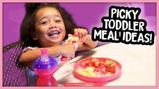 What My Toddler Eats in a Day! (Picky 2 Year Old + Quick Meal Ideas)