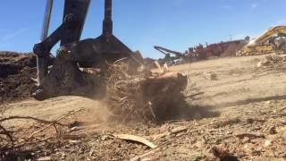 Excavator with stump shear