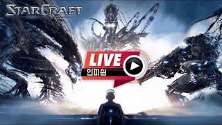 24.09.25(수) 【 인피쉰 생방송 다시보기 】 스타 빨무 스타크래프트 Starcraft