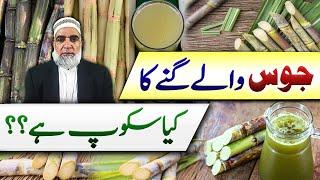 Scope of Sugarcane cultivation for Juice purpose || Crop Reformer