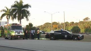 Woman found dead and naked on side of I-95 in Miami-Dade County, police say