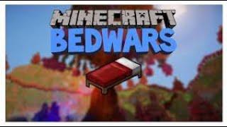 Minecraft Bedwars solo / RAY 398