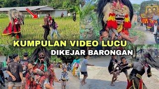 KUMPULAN VIDEO LUCU BARONGAN NGAMUK NGEJAR ORANG !!