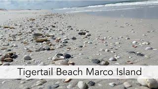 Virtual beach walk at Tigertail Beach Marco Island at low tide.