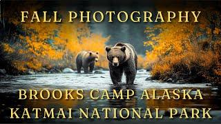 Fall Photography & Coastal Brown Bears in Brooks Camp Alaska