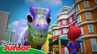 Gob-zilla Dinazor Günü  | Marvel Spidey ve İnanılmaz Arkadaşları | Disney Kids Türkiye