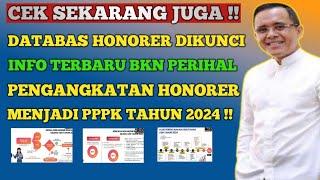 DATABASE HONORER DIKUNCI ! INFO TERBARU BKN PERIHAL PENGANGKATAN HONORER MENJADI PPPK 2024