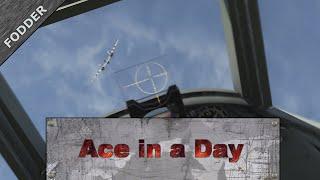 Ace in a Day