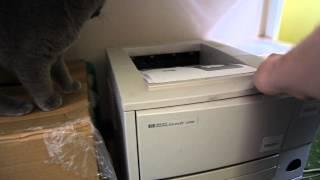 British cat and printer