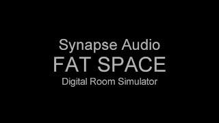 Synapse Audio Fat Space  -  Features Overview