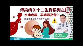 【十二生肖X傳染病】雞：水痘病毒