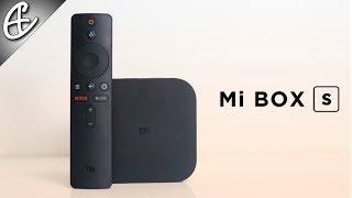 4500 Rupees | $59 Official Android TV  - Mi Box S Review!