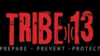 TRIBE 13 - TACTICAL COMBAT SYSTEM