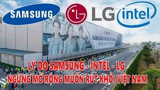 LÝ DO SAMSUNG - LG VÀ INTEL NGỪNG MỞ RỘNG DẦN RÚT KHỎI VIỆT NAM