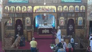 Live Stream Heilige Maria Kathedraal te Amsterdam