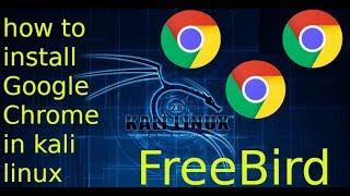 how to install google chrome in kali linux