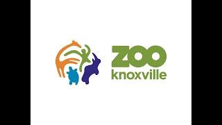 Zoo Knoxville Full Tour - Knoxville, Tennessee