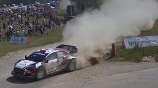 MARTINS SESKS     ROOKIE SENSATION WRC POLAND 