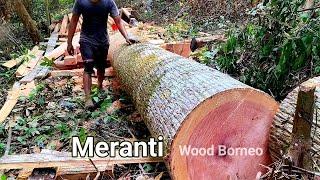 Meranti wood part3 panjang menjulang ⁉️ Pengolahan menakjubkan langsung dari hutan rimba