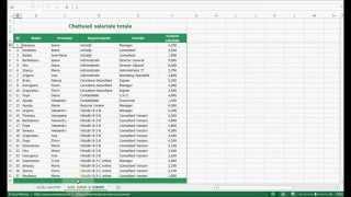 Functia SUMIF in Excel