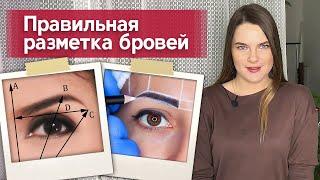 Как нарисовать симметричные брови? | Разметка бровей: основные принципы, точки, инструменты