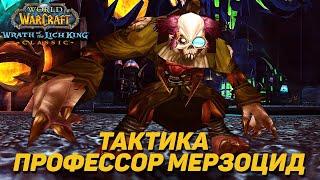 ПРОФЕССОР МЕРЗОЦИД - ТАКТИКА ЦЛК 25ХМ WOTLK CLASSIC