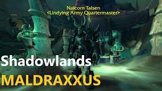 World Of Warcraft Shadowlands,Location Undying Army Quartermaster Nalcorn Talsen, Maldraxxus