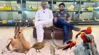 Multan Sunday Birds Rasheedabad 3 September 2023 latest Update​ I Part 2