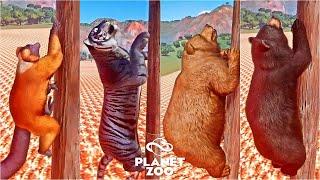 Animals Volcano Escape Race - Siberian Tiger, Lemur, Himalayan Bear, Bengal Tiger Slate, Black Bear