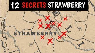 12 Secrets, Unique Items & Things You Should Do In Strawberry - Red Dead Redemption 2