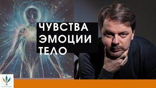 Чувства, эмоции, тело. | Константин Дуплищев.