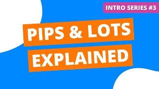 Pips and Lots Explained In 2 Minutes