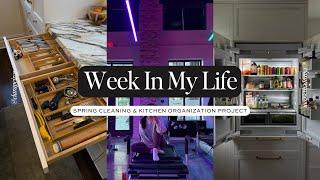 WEEK IN MY LIFE: Kitchen Organization Project & Early Spring Cleaning