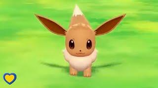 HOW TO GET Eevee in Pokémon Let's Go Pikachu & Eevee