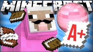 [DELETED VIDEO] Pink Sheep Goes to School - Minecraft