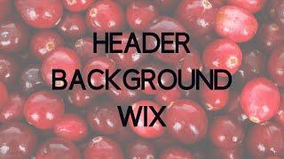 How to change Header Background on your Wix Website