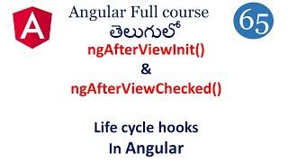 ng after view init and view checked  Lifecycle hook  in Angular | Angular lifecycle hooks | angular