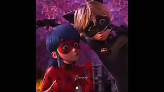 I still think you look like a watermelon  || Miraculous the movie || Ladynoir edit