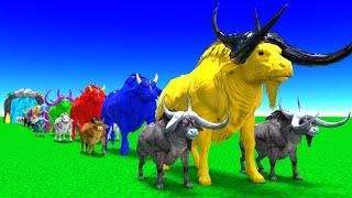 Paint Animals Adventure! Cow to Bison Transformations | Cartoon Animal Magic