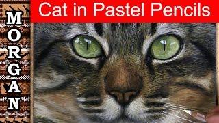 Beginner lesson - Drawing a Realistic Cat using Pastel pencils