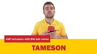 AW1 actuators with BW ball valves | Tameson