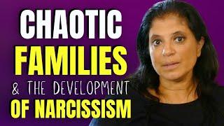 The role of chaotic family systems in the development of narcissism