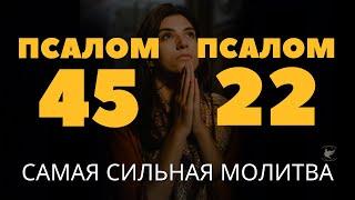 Псалом 45 и Псалом 22 | Две сильные молитвы, которые помогут преодолеть все трудности