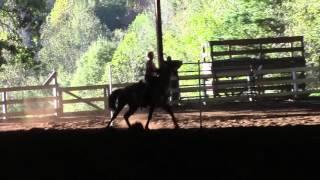 Open Pole Bending 10/17/15 at Carolina Horse Company